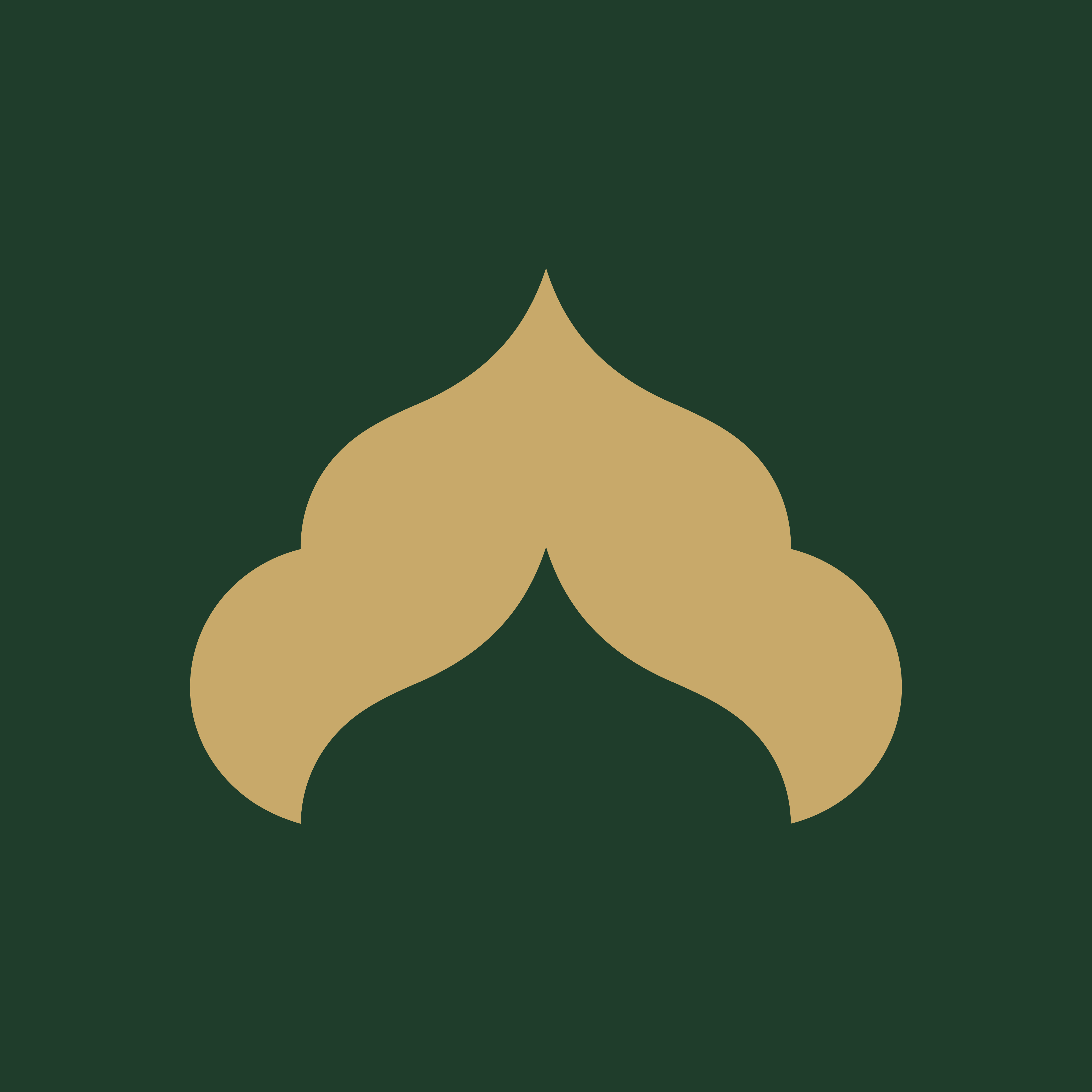 Rattil app icon